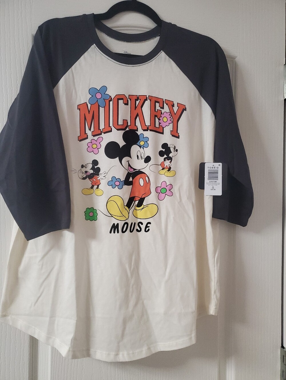 NWT. Disney Cream Raglan Long-Sleeve Tee with Mickey Graphic Size 2. (18-20)